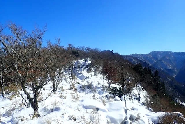 雪山の風景