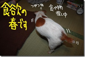 今日カズ１００４０５　１
