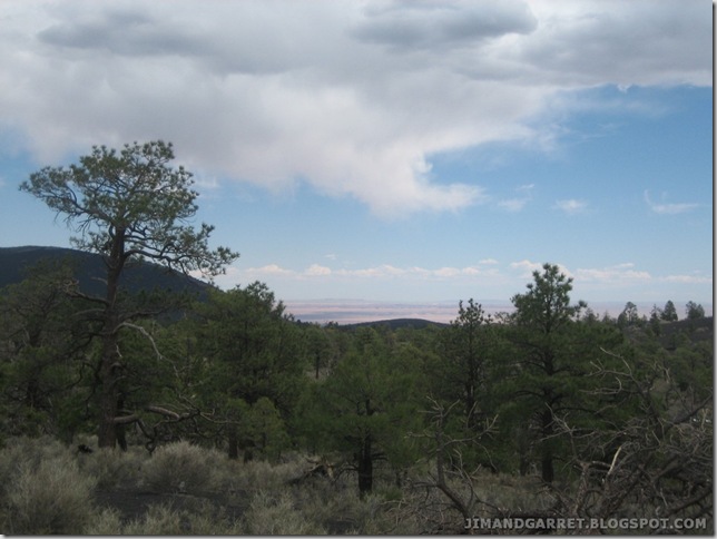 2009-04-22 AZ 19