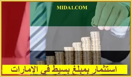 أفضل استثمار بمبلغ بسيط في الإمارات