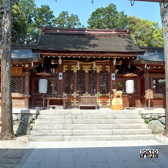 【伊太祁曾神社】1300年歷史古老神社　在幽靜森林裡向木神祈福除厄