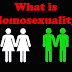 What is Homosexuality