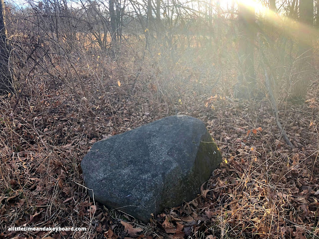 An erratic boulder folded in the landscape by rich brown leaves highlighted by the waning sun at Hickory Grove Highlands in Cary, Illinois