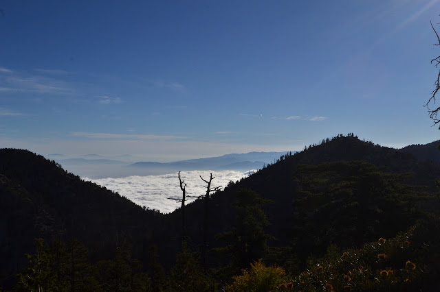 fog filled valley