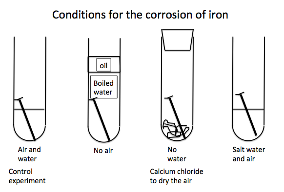 Experiment of Proving Rusting - YouTube