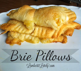 Baked Brie Pillows...SO ooey, gooey delicious.  Only 3 ingredients to absolute wow guests! http://www.lambertslately.com/2013/09/baked-brie-pillows-recipe.html