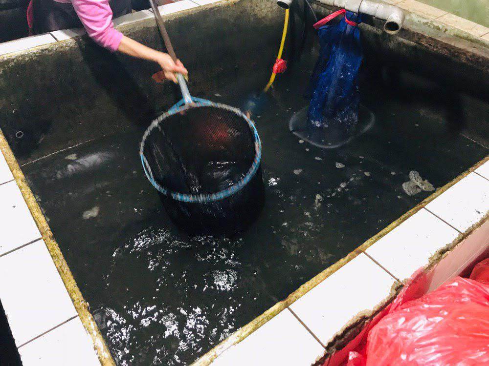 【桃園美食】龍潭石門水庫「大石門活魚餐廳」