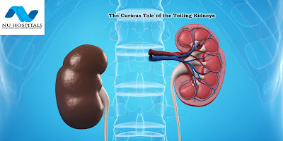 The Curious Tale of the Toiling Kidneys