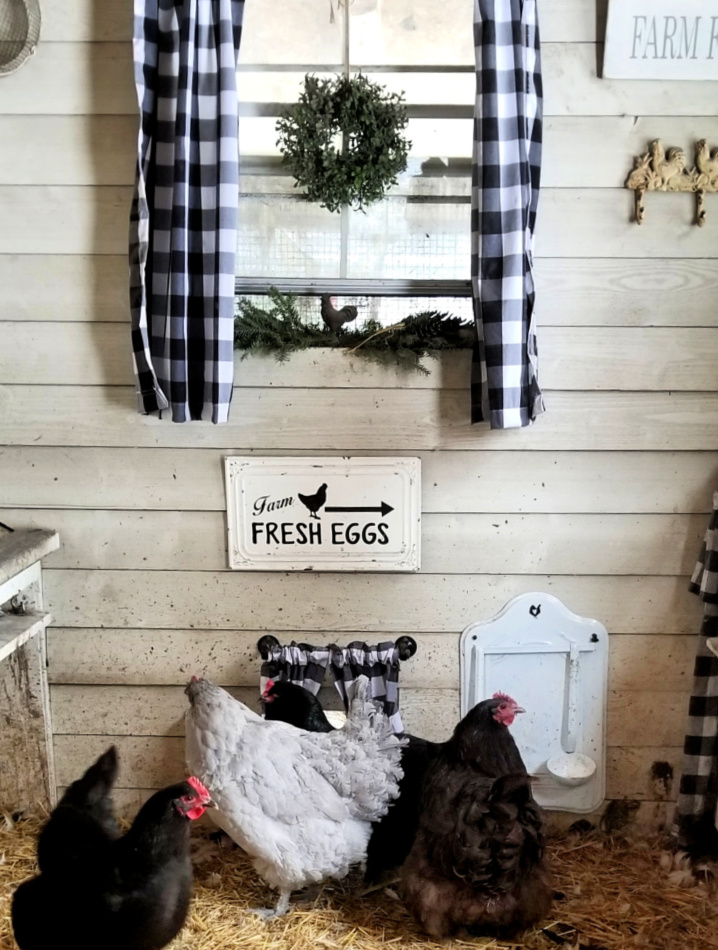 Chicken Coop Decor! – Lizzy & Erin