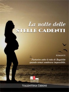 La notte delle stelle cadenti