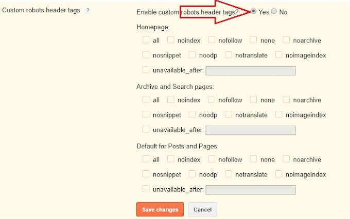 Custom Robots Header Tags Settings For Blogger