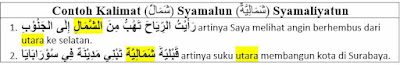 (شَمَالٌ) Syamalun (شَمَالِيَّةٌ) Syamaliyatun ِArtinya dan Contoh Kalimatnya