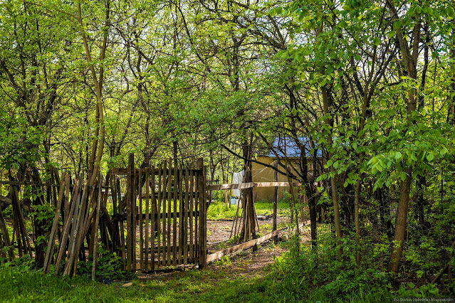 Территория огорода за деревянным забором