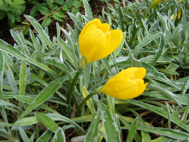 2010_10020016.JPG