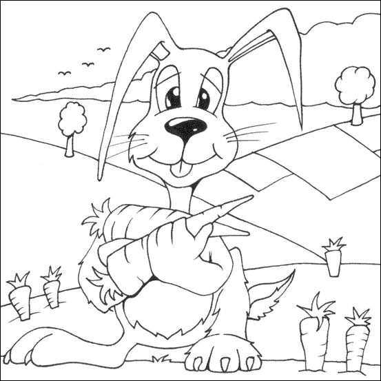 Animals Coloring Pages For Kids