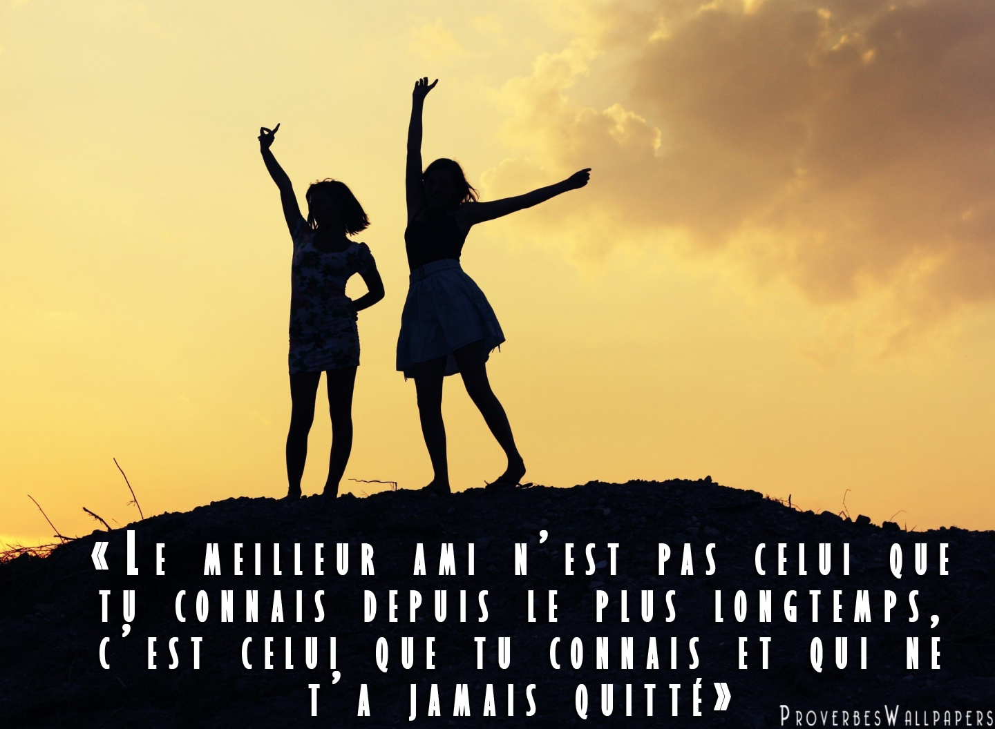 Proverbes Wallpapers HD: Le meilleur ami