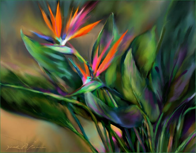 Picture Of Bird Of Paradise