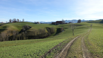 Feldweg bei Hintergernet