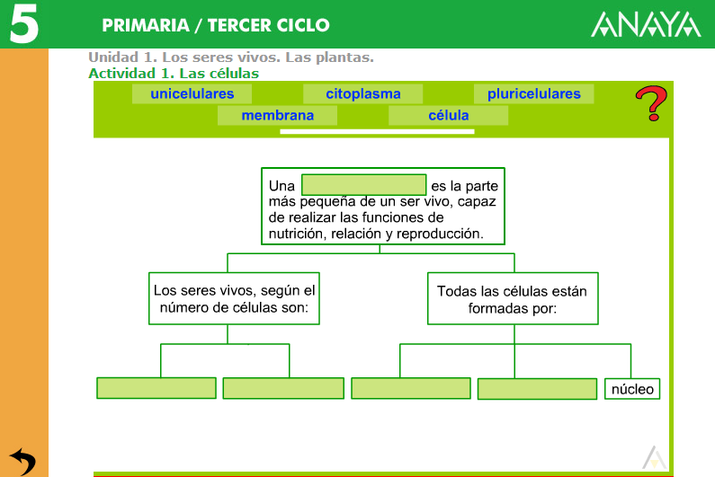 http://www.edistribucion.es/anayaeducacion/pro/8405112/datos/05rdi/ud01/01.htm