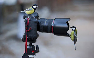 صور مدهشة , أفضل الصور الرائعة والمدهشة جدا