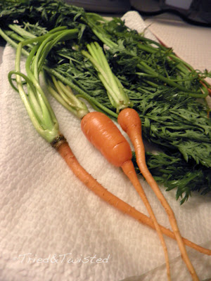 Not every crop is a good crop: Carrots 2013