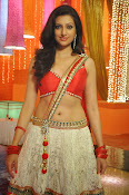 Hamsha Nandini Hot Stills-thumbnail-27