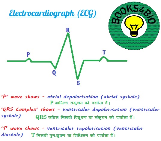 Electrocardiograph