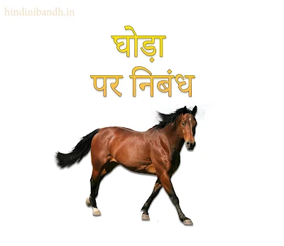 horse hindi essay