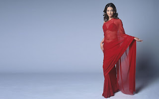 aishwarya rai in saree hd desktop 2013 wallpaper