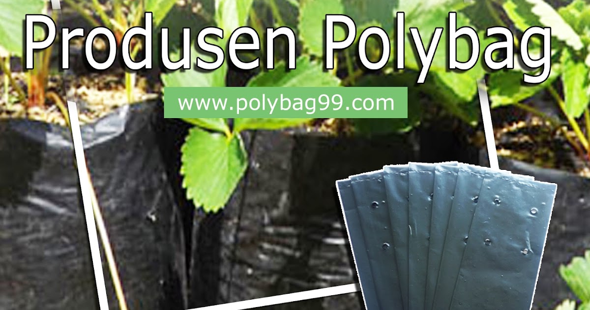 Jenis Jenis Polybag  Tanaman  Jual Polybag  Murah