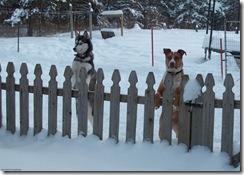 Roscoe and Sky-1