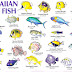 List Of Fish Of Hawaii - Hawaiian Fish Names And Pictures