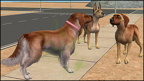 Dog1Resize