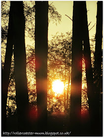 sunset from camp, RSPB #BigWildSleepout