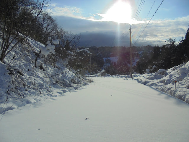 小林橋に降りる古い道路