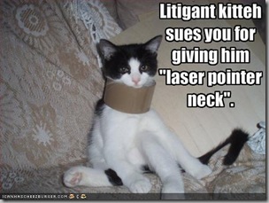 Litigant kitteh