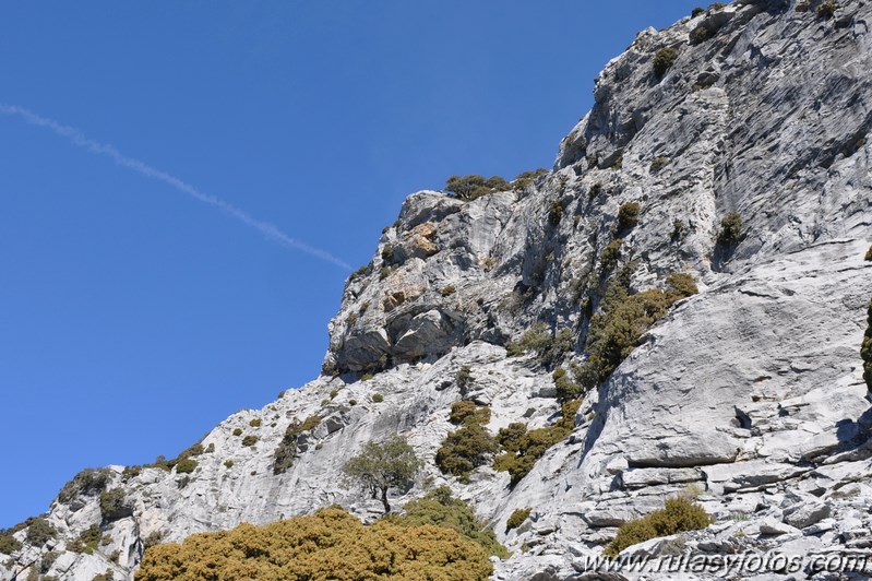 Subida al torrecilla por el Paso del Cristiano