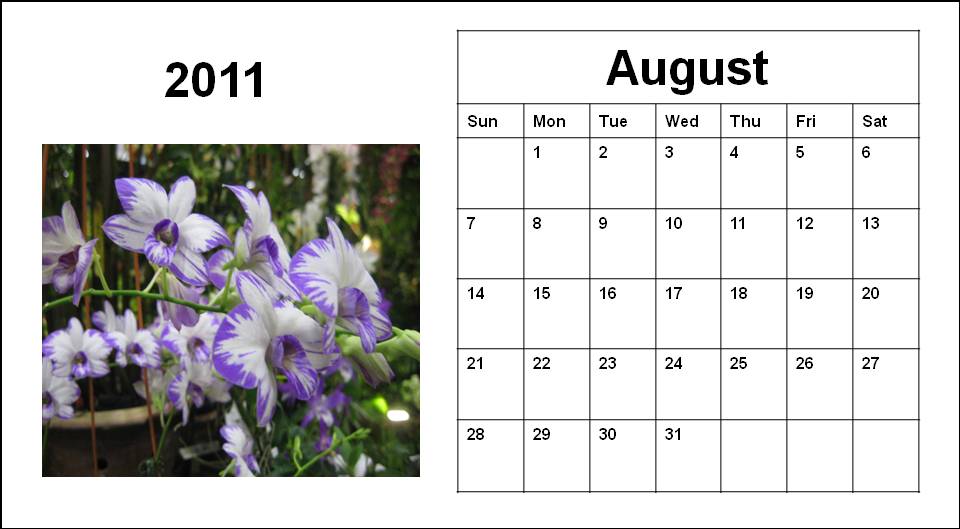 august calendar for 2011. blank august calendar 2011.