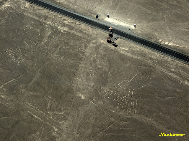 Sur de Perú a nuestro aire - Blogs de Peru - 01-08-11 Las líneas de Nazca. (4)