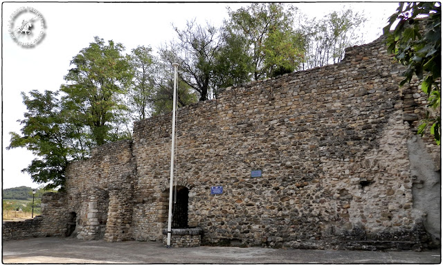 VISAN (84) - Château et remparts médiévaux