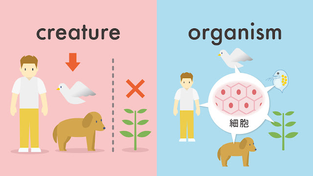 creature と organism の違い