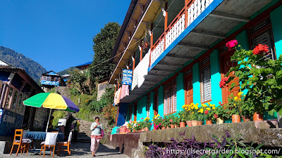 Poon Hill - entering Tikhedhunga  village 