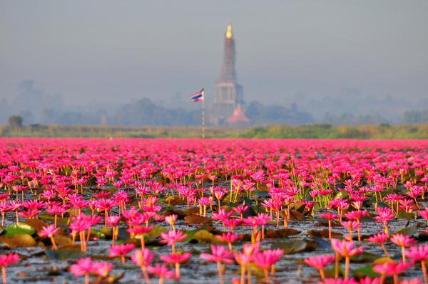 Vùng Đông Bắc Thái Lan có những điểm du lịch nào nổi tiếng?