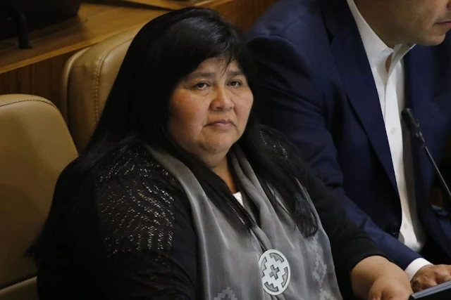 Emilia Nuyado, Diputada Mapuche