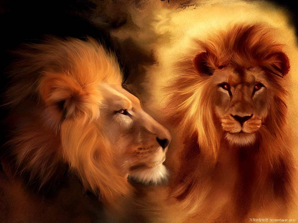 Lion Wallpapers-Animal Wallpapers ~ Alive-$ofts Buy Quality cc visit ...