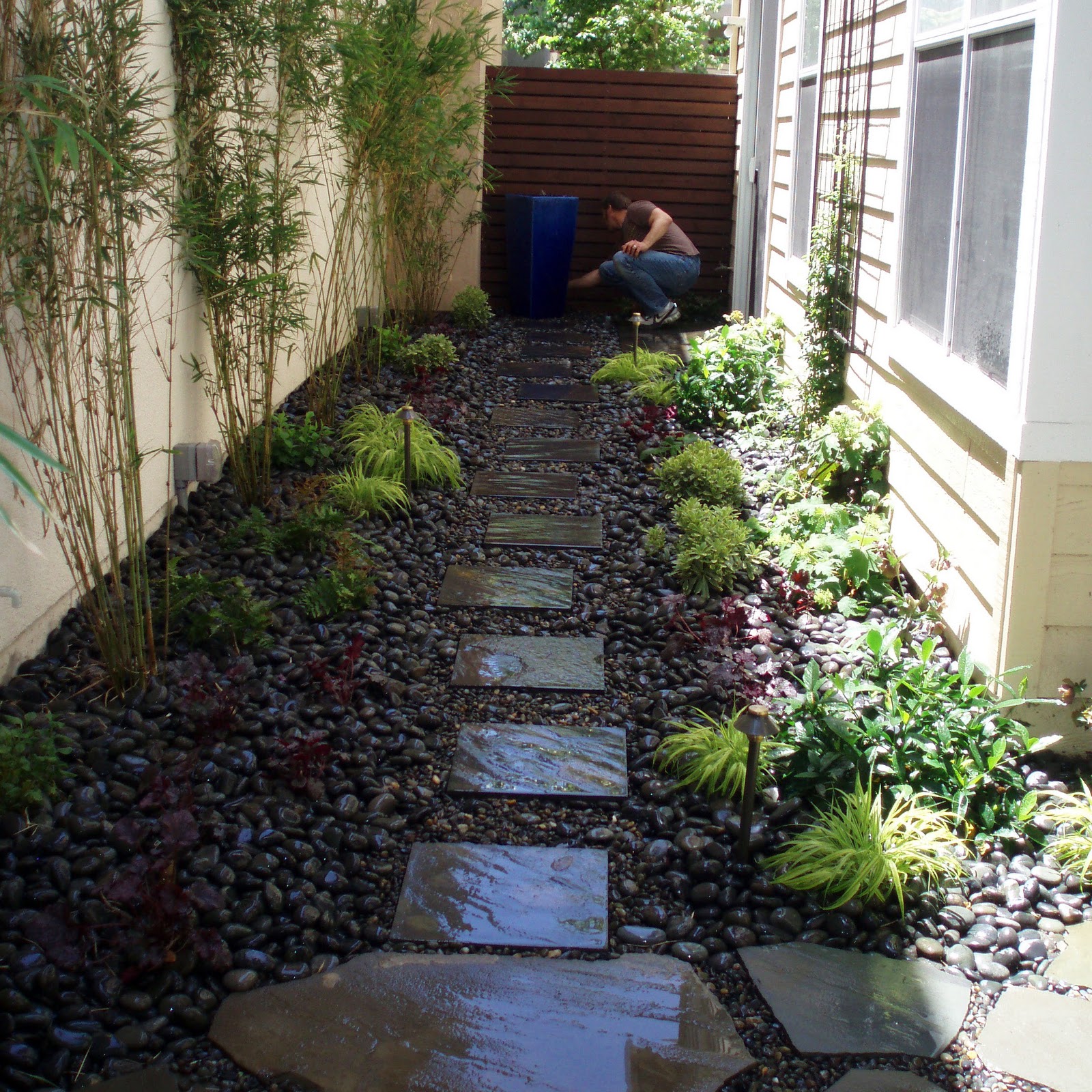 Narrow Side Yard Landscaping Ideas