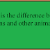 What is the difference between humans and other animals?