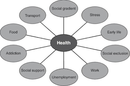how does health affect life?