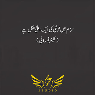 quotes in urdu