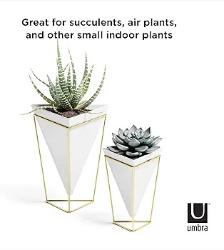 Trigg Desktop Planter Vase & Geometric Conteiner 